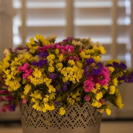 Domix - Two Bedroom 公寓 杜布罗夫尼克